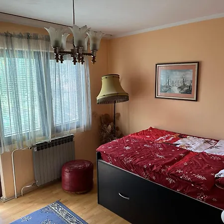 Gospodarstwo wiejskie Etno Kuca Trifunovic *