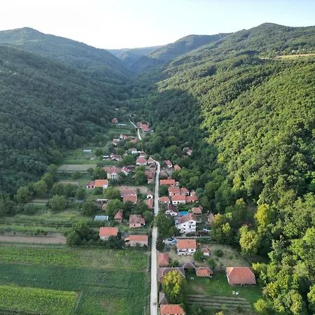 Etno Kuca Trifunovic Gospodarstwo wiejskie *