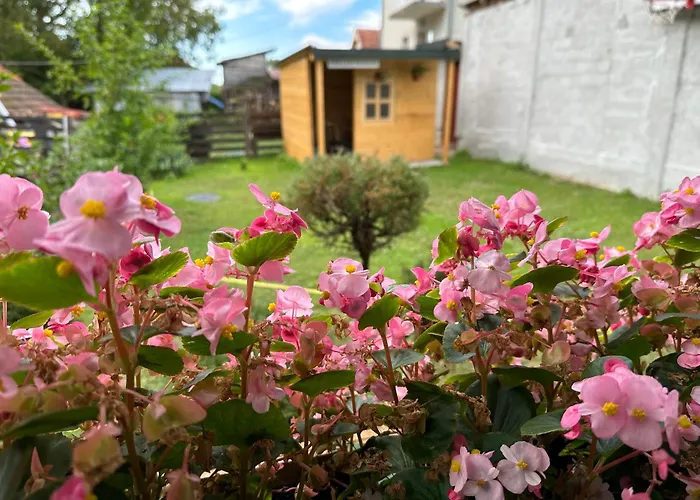 Etno Kuca Trifunovic Pretresnja